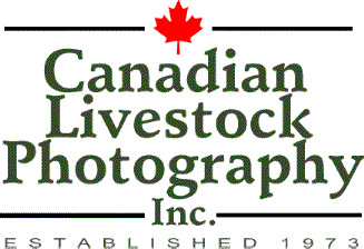 Welcome to the Canadian Livestock Photography Website!!